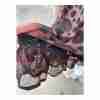 Bebe Tank Dress Silk Animal Print Skirt Bandage Bodice Sz S - Image 5