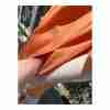 Lafayette 148 Sedwick Dress Shirt Tent Pockets Tanned Coral Cotton Sz S Oversized - Image 13