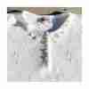 Vintage 80s GRACE Acrylic Knit Sweater Lace Collar Pearl Buttons Feminine Twee Volup