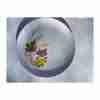 Set 8 Vintage MCM ONEIDA Melamine DINNER PLATES 9" Fall Autumn Leaves Wheat - Image 15